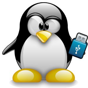 CD/DVD Rom Olmadan - USB ile Linux Kurulumu