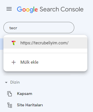 Google Search Konsol Kullanıcı Yetkilendirme 1