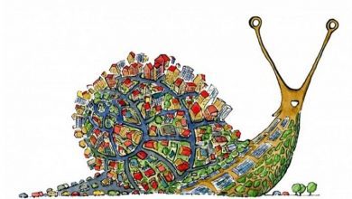 Cittaslow (Sakin Şehirler) Nedir? 2
