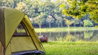 Doğayla Bütünleşin: İstanbul’a Yakın Kamp Alanları Rehberi 10 Doğayla Bütünleşin: İstanbul’a Yakın Kamp Alanları Rehberi 2