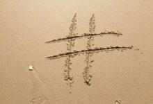 Wordpress'te En İyi Eklentiler: Web Sitenizin Performansını Artırın 24 website