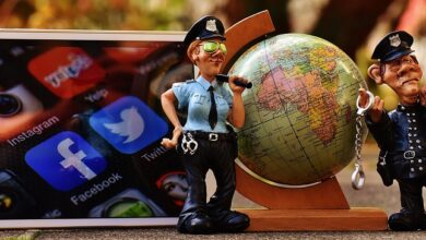 En İyi WordPress Eklentileri ve Temaları 5 website