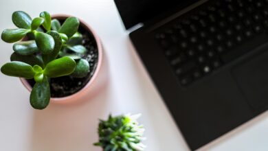 website
