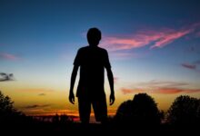 WordPress'te SMTP Ayarlarını Nasıl Yapabilirsiniz? 25 website