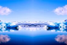 WordPress SEO Eklentileri: Site Sıralamanızı Yükseltmek İçin En İyi Çözümler 26 website