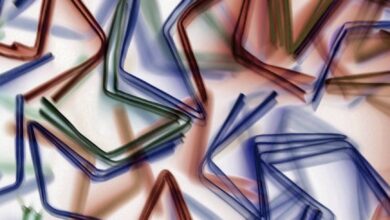 ipconfig ve ifconfig komutları 1 ipconfig ve ifconfig komutları 1