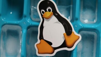 linux a geçiş rehberi